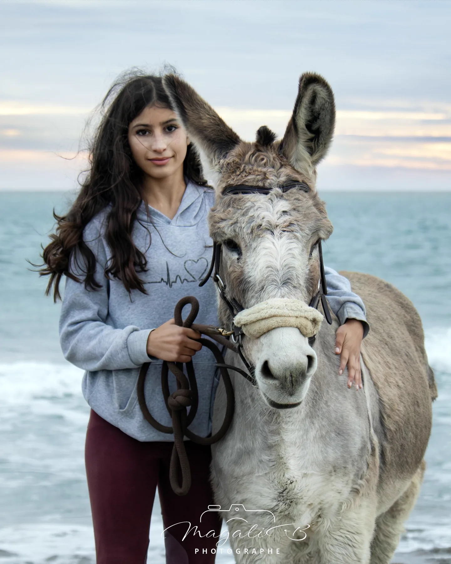Portraits Animaliers - Image 13