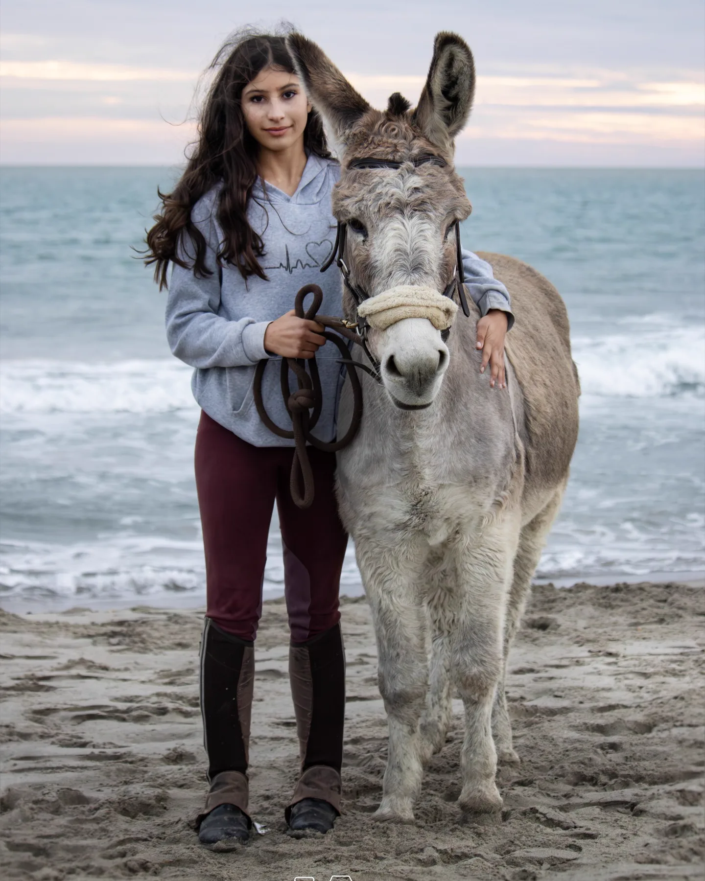 Portraits Animaliers - Image 12