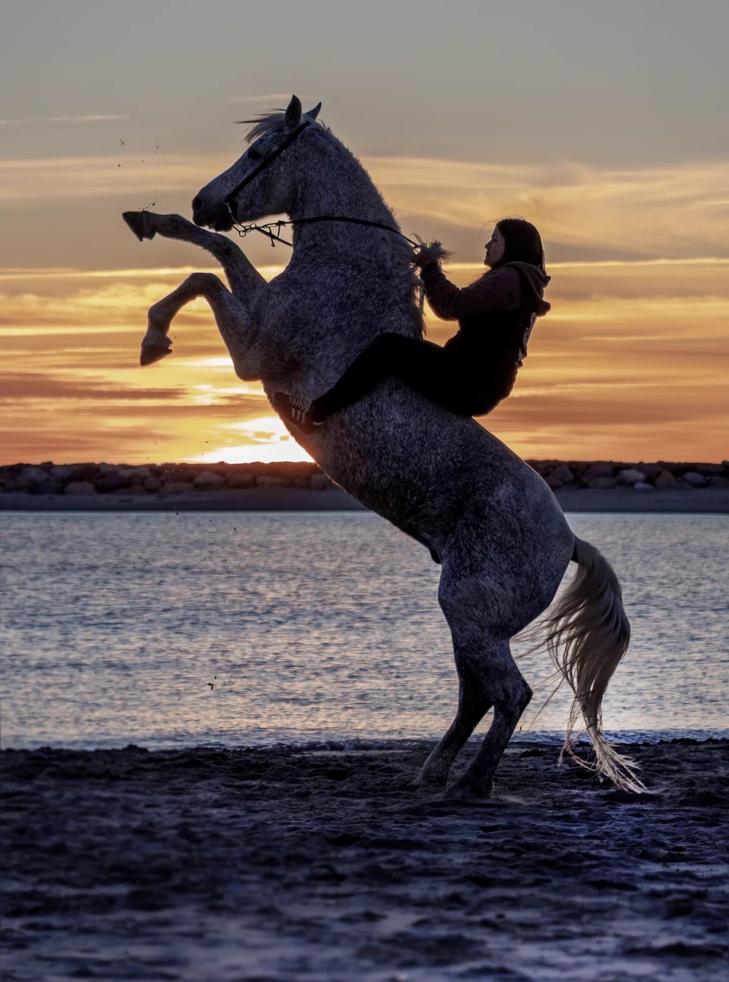 Cavaliers & Chevaux
