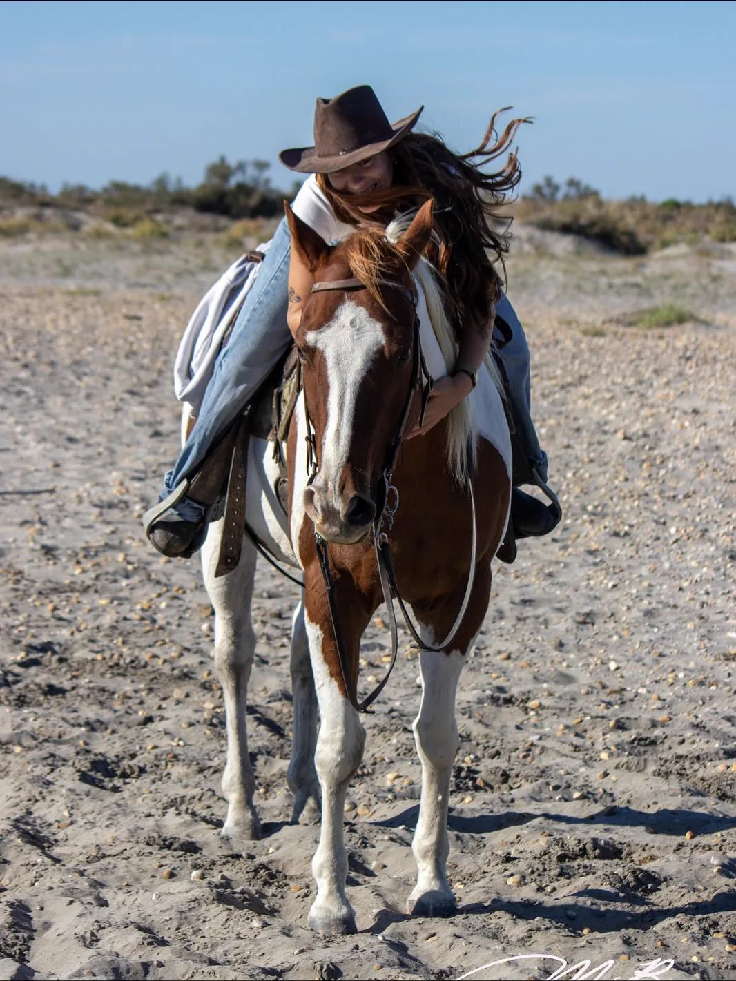 Cavaliers & Chevaux - Image 12
