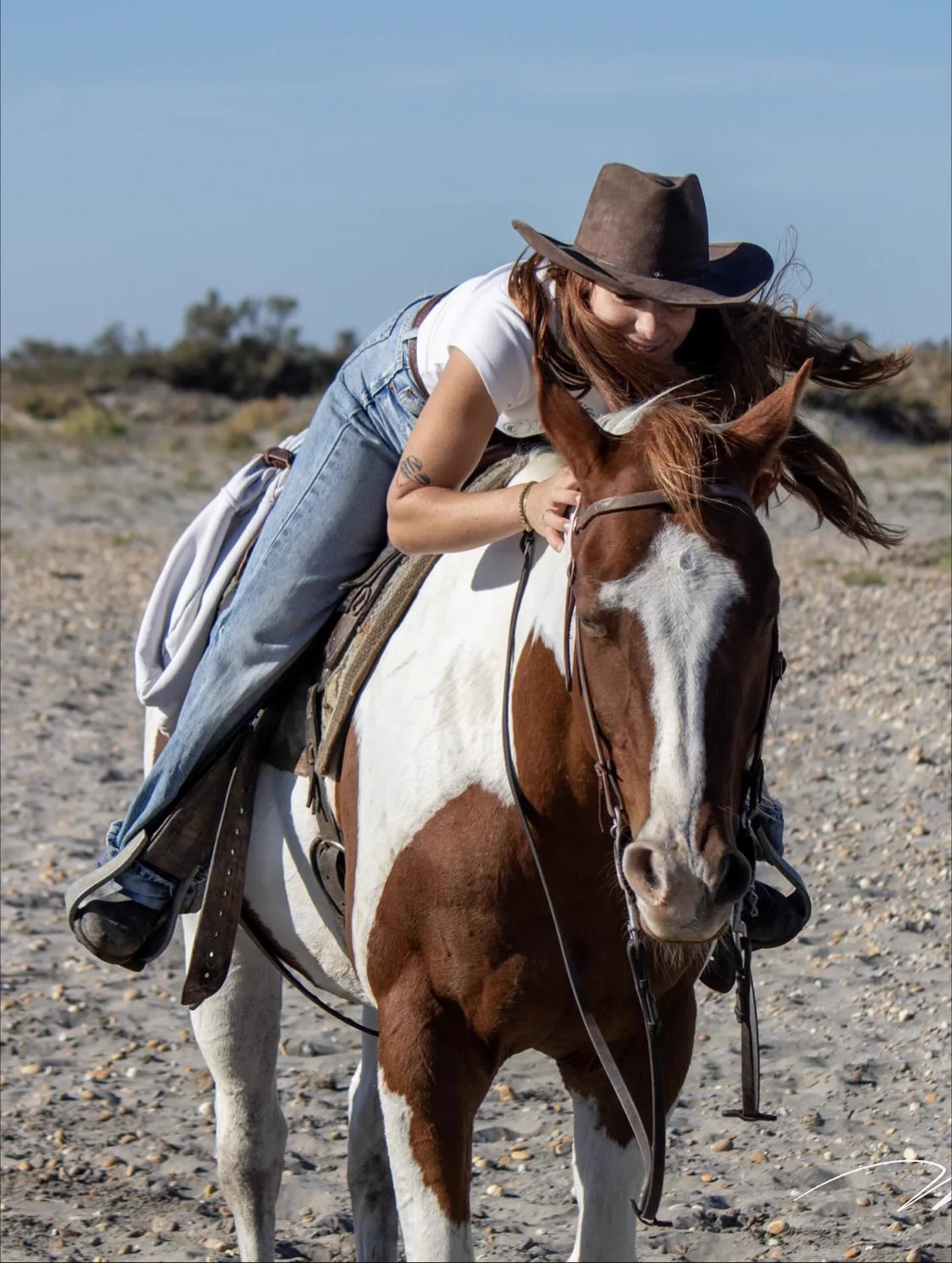 Cavaliers & Chevaux - Image 13
