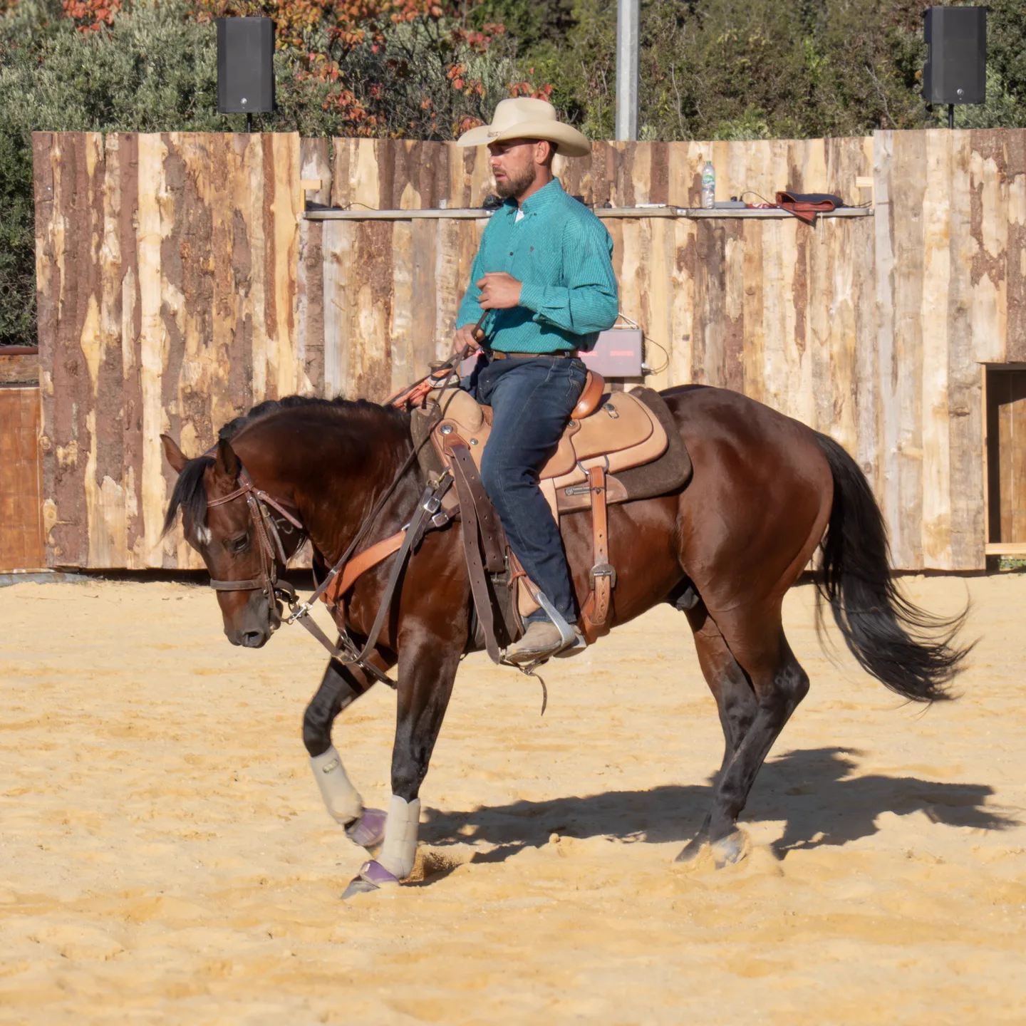 Life Style Western - Image 7
