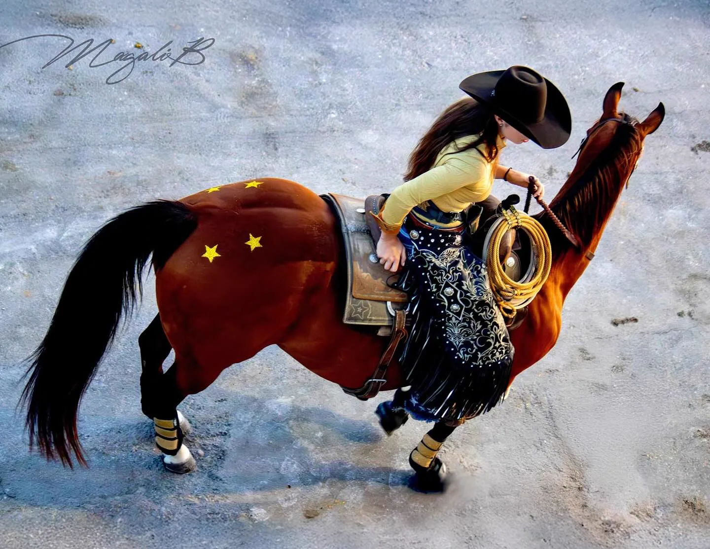 Cavaliers & Chevaux - Image 7