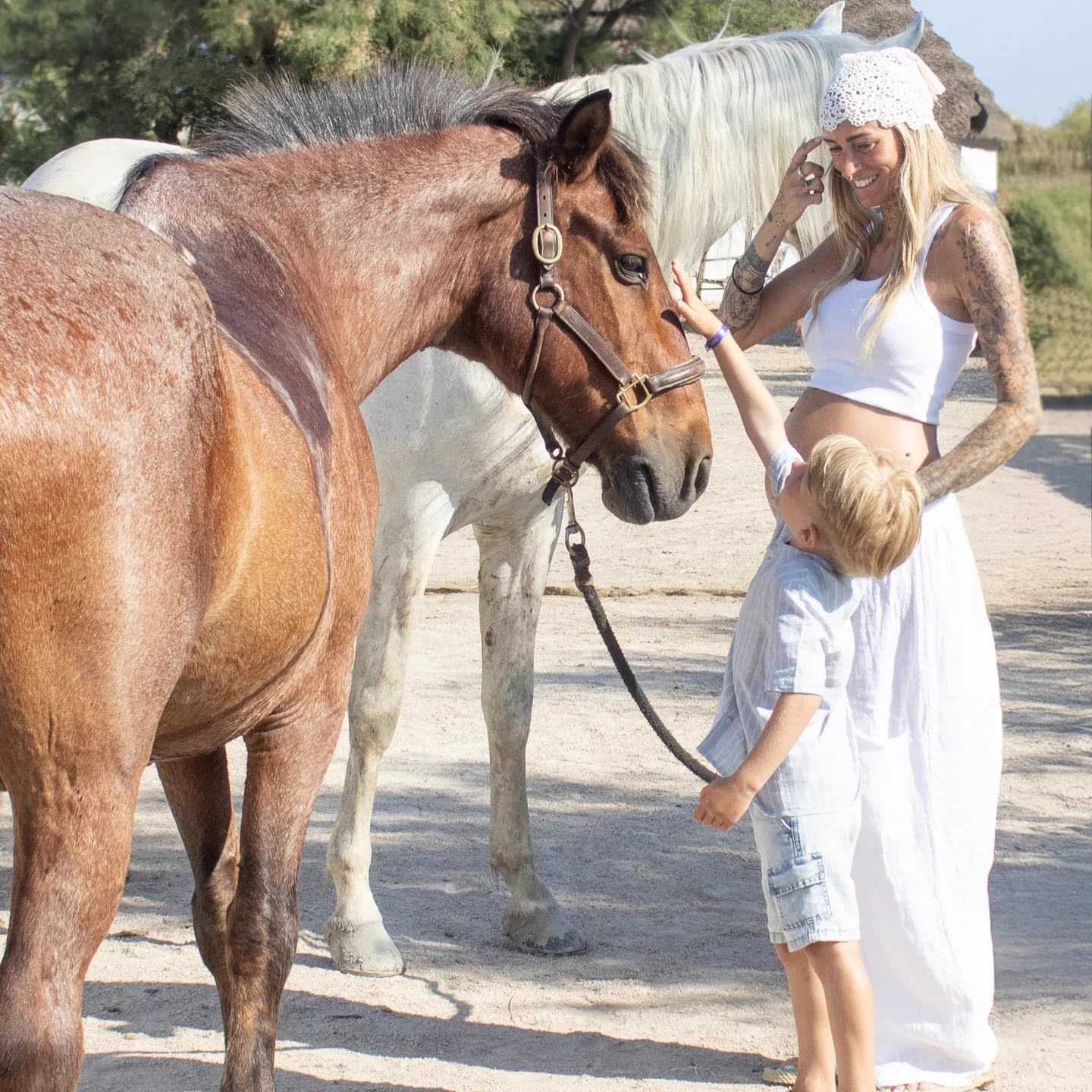 Cavaliers & Chevaux - Image 19